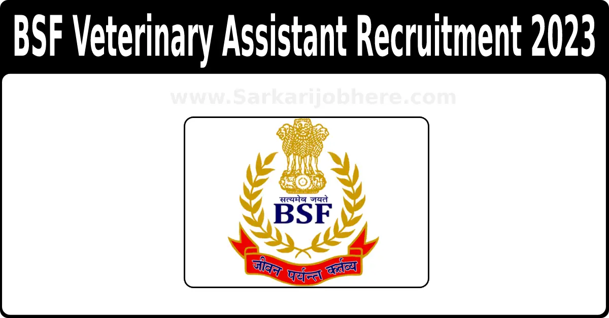 BSF Veterinary Assistant 2023